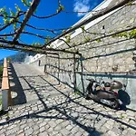 Capri Băile Herculane